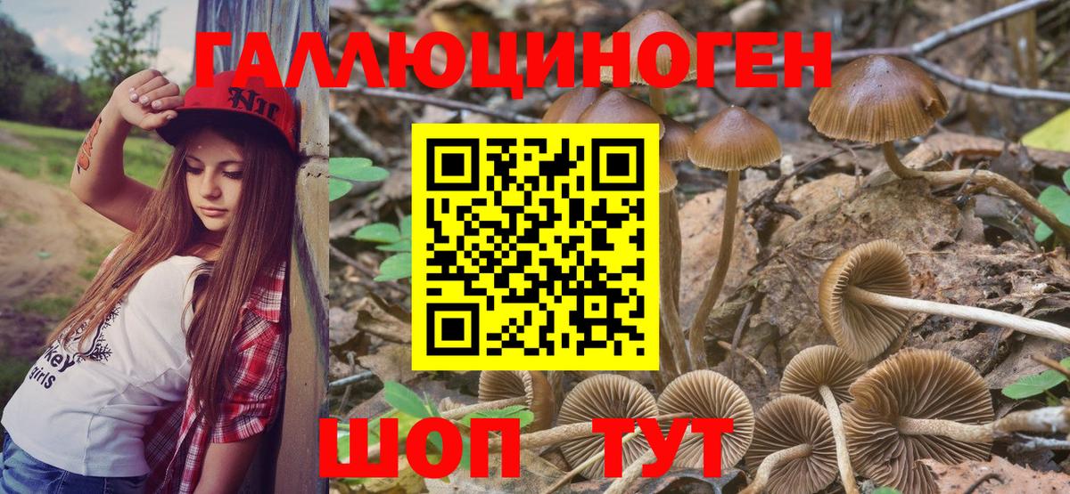 Галлюциногенные грибы прущие грибы  Вход с VPN  Зеленокумск 